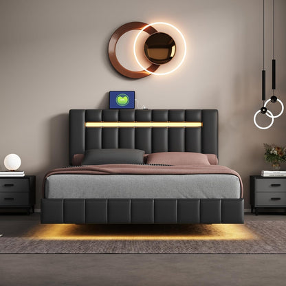 Queen Size Bed Frame with LED Lights and USB Charging