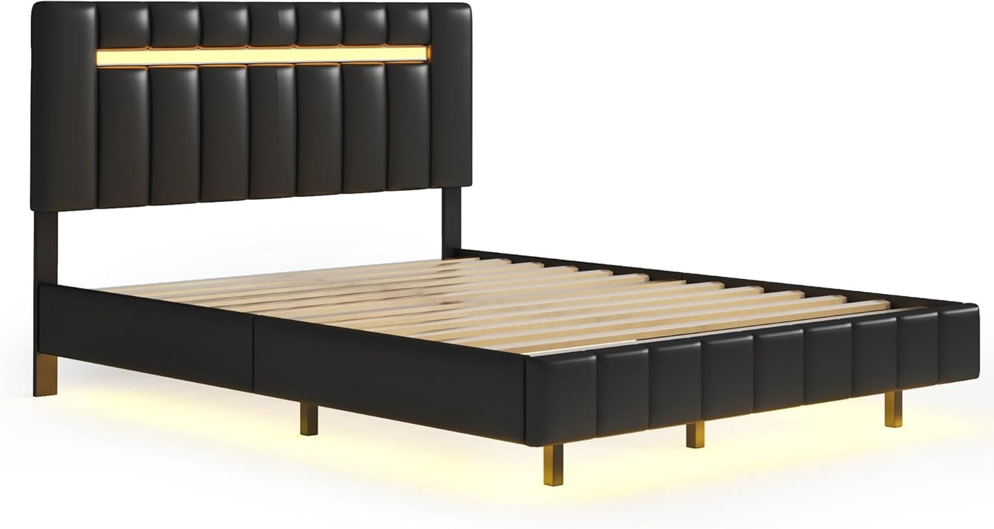 Queen Size Bed Frame with LED Lights and USB Charging